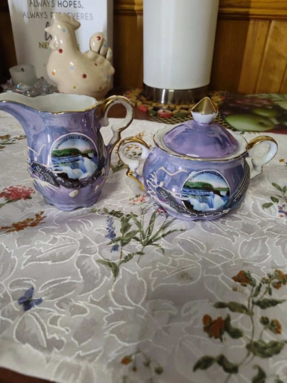 Vintage Niagara Falls Souvenir Sugar and Creamer Set M. Spitalny Made in Japan